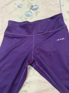 Alcis Brand Legging
