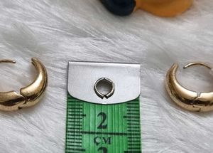 Gold Plated Hoop Earrings