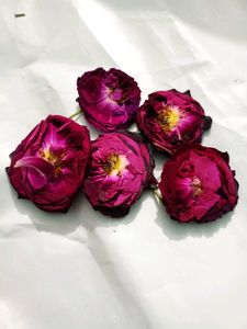 resin art Dried Rose Heads