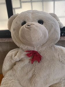 Big Size Taddy Bear
