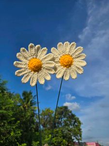 Handmade Crochet daisy