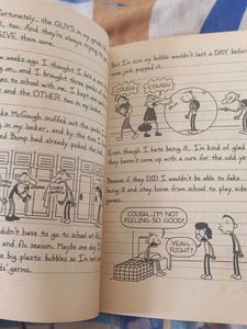 Diary of a Wimpy Kid: The Meltdown