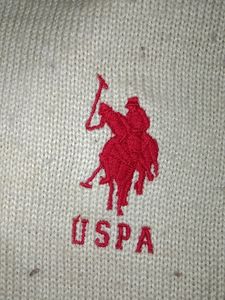 Chain On Neck Woollen Polo Sweater Branded Fo