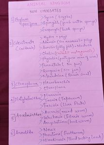 Handwritten Notes Neet Ug