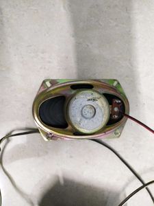 Pair of Oval Speakers