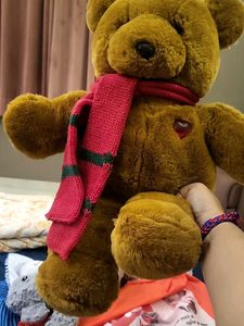 Cute Plush Teddy Bear with Scarf