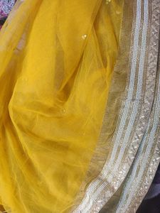 Net Dupatta