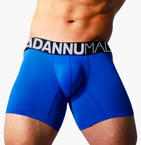 Blue Boxer Briefs with Logo Waistband