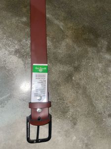 Woodland Belt - Brown