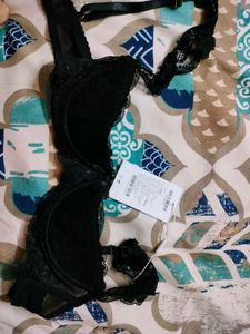Savanna lace push up bra (brand new with tag)