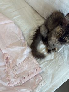 lace pale pink sequinned shirt