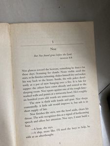 The Flood: A Novel by David Maine