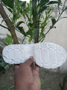 Stylish White Sneakers