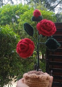 Handmade crochet ROSE FLOWER POT