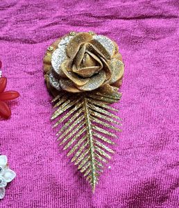 Combo Of 10,2 Saree Brooches, 6 hair Clips na wate