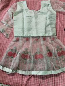 Embroidered Lehenga Choli Set