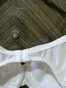 Elegant Lace Padded Bra