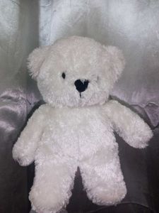 White Teddy Bear (Preloved, Needs a Forever Home)