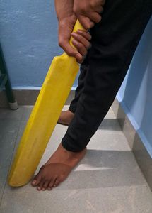 Fantastic Plastic Bat🏏