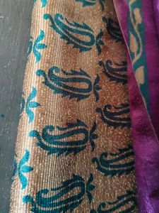 Vibrant Saree with Paisley Print