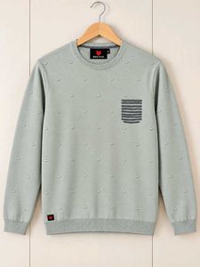 Men's Light Green Textured Sweater
