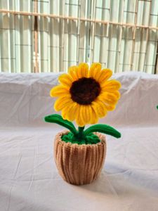 sunflower pot