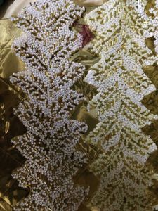 Exquisite Beaded Trim lace for dress
