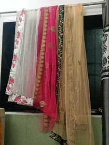 Embroidered Net Dupattas