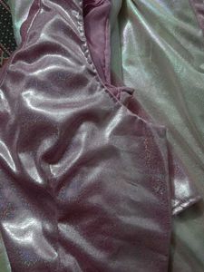 Beautiful Shining Saree