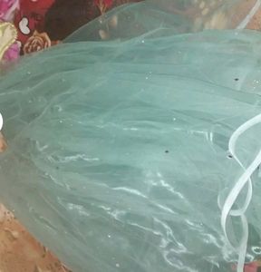 Net Light Weight Flared Lehanga