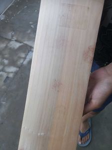 Kashmir Willow Bat Ss Knight Rider Edition