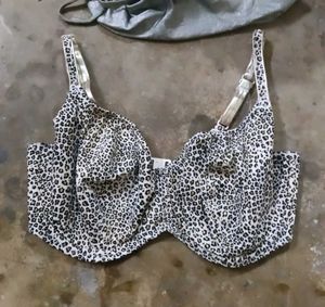 Leopard Print Bra