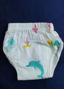 Padded Cloth Diaper For New Born (Pack Of 4)