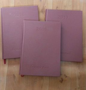 Combo ICICI Bank 2016 and 2018 Diary