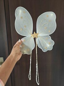 Sparkling Fairy Wings Costume Accessory
