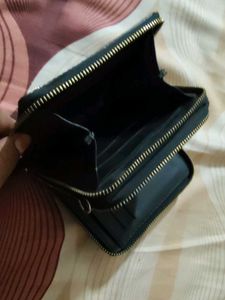 Baggit Black Patent Wallet