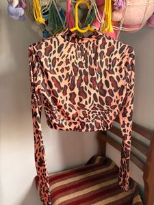 Leopard Print Long Sleeve Crop Top