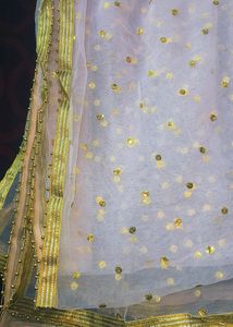 New Duppatta Light Pink