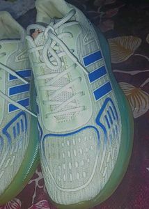 Adidas Inspired Radium Running Shoes