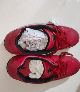 Ducati Unused Men Shoes