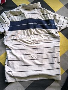Men's Striped Polo T-Shirt