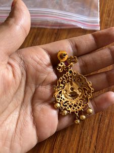 Earrings With Dollar