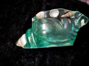 Seashell Showpiece