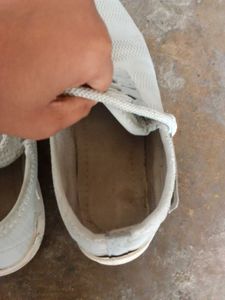 Men's Casual Shoes