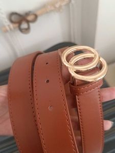 Stylish Brown Belt with Gold Buckle