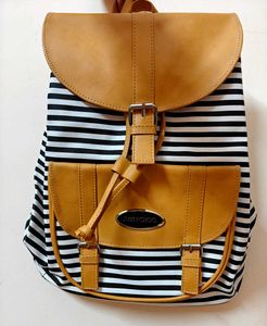 Imported Striped Backpack