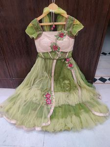 Green Net Lehenga Cum Dress