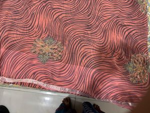 Stunning Embroidered Saree with Zebra Print