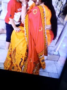 Embroidered Peacock Saree