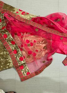 Embroidered Lehenga Skirt